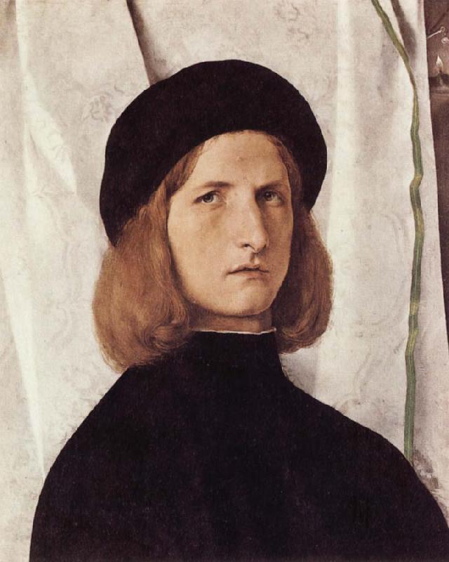 Lorenzo Lotto Portrait of a Young Man oil painting image